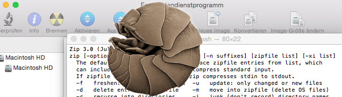ZIP Erstellung unter einem Mac